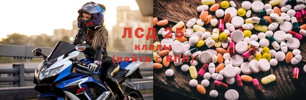 прущие крисы Магас