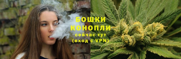 прущие крисы Магас