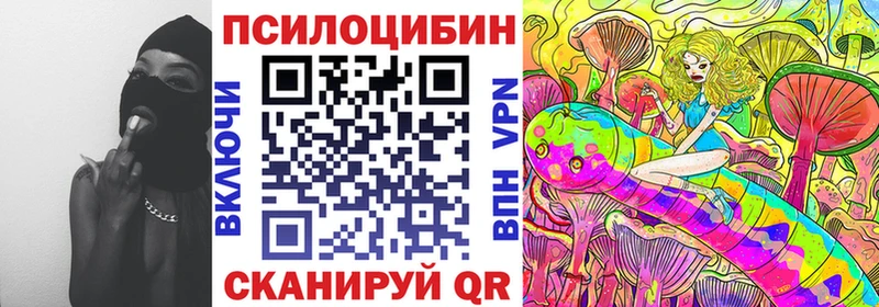 Купить закладки  Арсеньев  Галлюциногенные грибы прущие грибы 
